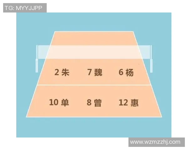 上海排球队的战术控制解析与球队发展现状探讨