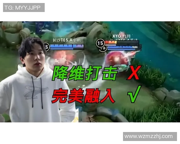 聚焦王者荣耀TES战队比赛经验分享与战术解析