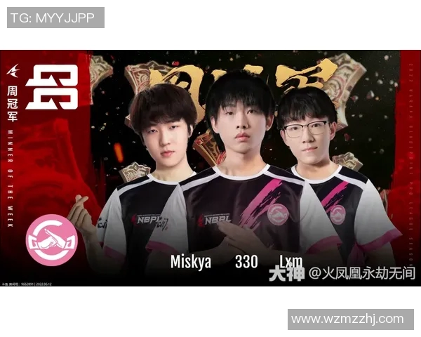 FPX在精英赛中的比赛经验与表现分析及启示