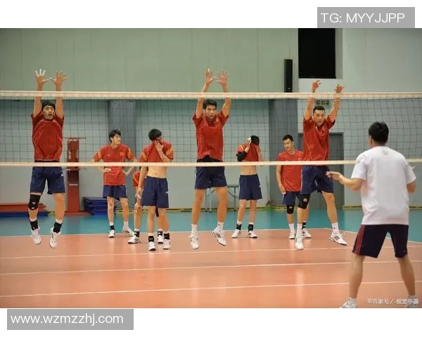 刘秀英独家分享排球心得与技巧助你提升竞技水平与团队协作能力