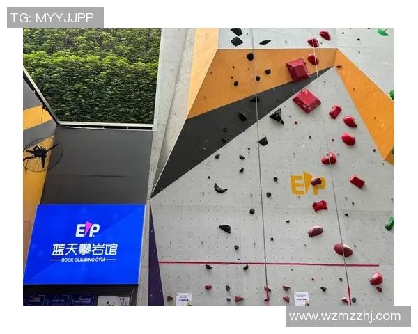 南京攀岩队的力量与技巧探索攀岩运动的魅力与挑战 南京攀岩队的力量与技巧探索攀岩运动的魅力与挑战