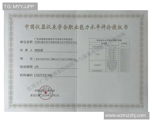 北京羽毛球队挑战赛技术表现分析与点评探讨 北京羽毛球队挑战赛技术表现分析与点评探讨
