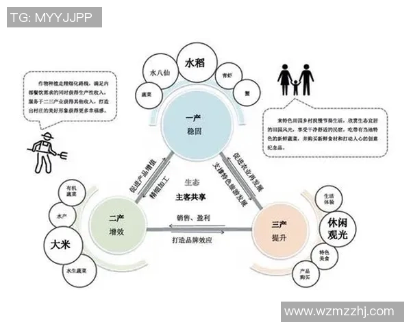 南京羽毛球队的运营策略分析与发展路径探讨