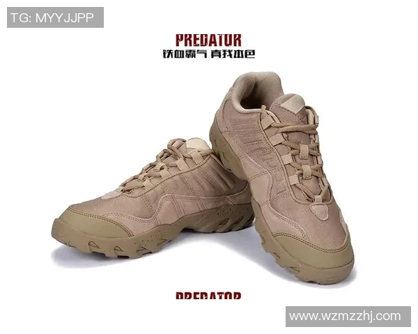 武汉攀岩队进攻策略深度分析与战术解读