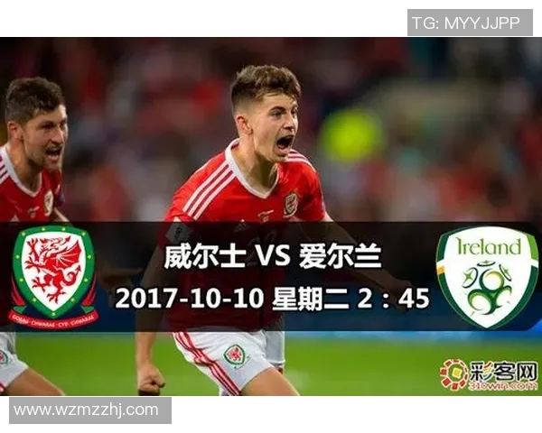 意大利与爱尔兰比赛盘口分析及投注建议详解